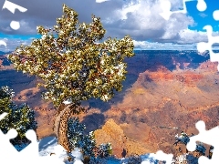 Wielki Kanion Kolorado, Park Narodowy Wielkiego Kanionu, Grand Canyon, Góry, Stan Arizona, Stany Zjednoczone, Drzewo, Sosna, Skała