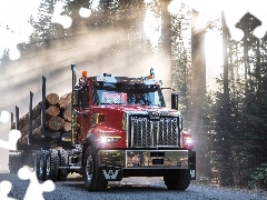 Drewna, Western Star 49X, Droga, Kłody, Ciężarówka, Las, Przebijające światło