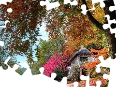 Dom, Drzewa, Jesień, Droga