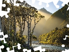 Drzewa, Góry, Cleddau River, Przebijające światło, Nowa Zelandia, Rzeka, Park Narodowy Fiordland