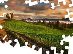 Mgła, Droga, Wiosna, Drzewa, Pola, Kościół, Słowenia