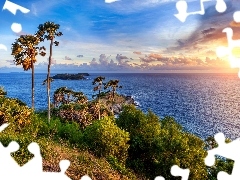 Palmy, Skały, Tajlandia, Przylądek, Wyspa Phuket, Morze, Wschód słońca, Promthep Cape