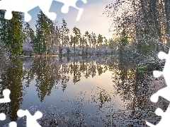 Drzewa, Rzeka Virojoki, Region Kymenlaakso, Finlandia, Trawy, Oszronione