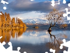 Góry, Jezioro Wanaka, Chmury, Nowa Zelandia, Jesień, Drzewo