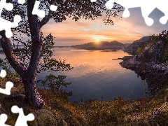 Zachód słońca, Zatoka, Gmina Agdenes, Wzgórza, Jezioro, Drzewo, Norwegia