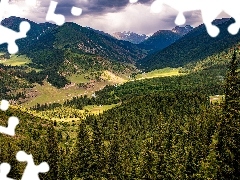 Lasy, Dolina, Chmury, Kok Jayik Valley, Góry, Drzewa, Kirgistan