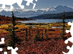 Wonder Lake, Alaska, Góry, Jesień, Kordyliery, Stany Zjednoczone, Park Narodowy Denali, Roślinność, Drzewa, Jezioro
