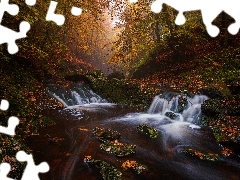 Potok, Las, Liście, Jesień, Kamienie, Drzewa