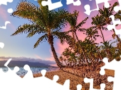 Morze, Wyspa Maui, Zachód słońca, Wybrzeże, Hawaje, Palmy, Plaża