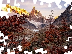 Jesień, Drzewa, Park Narodowy Los Glaciares, Argentyna, Góra Fitz Roy, Ośnieżone, Góry, Patagonia