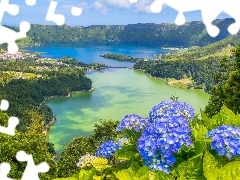 Sete Cidades, Hortensje, Jezioro Verde, Azory, Góry, Niebieskie, Jezioro Azul, Portugalia, Wyspa Sao Miguel, Lasy