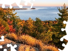 Superior Lake, Jezioro, Skała, Trawa, Michigan, Stany Zjednoczone, Drzewa, Jesień, Kolorowe