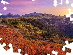Las, Stany Zjednoczone, Góry, Jesień, Roślinność, Krzewy, Drzewa, Telluride, Stan Kolorado, Kolorowe, San Juan Mountains