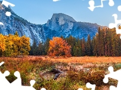Jesień, Góry, Half Dome, Kalifornia, Drzewa, Park Narodowy Yosemite, Góra, Stany Zjednoczone, Promienie słońca, Las