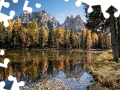 Drzewa, Jesień, Jezioro, Świerki, Trawa, Włochy, Dolomity