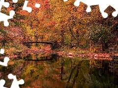 Drzewa, Jesień, Mostek, Ogród, Ohio, Stany Zjednoczone, Stan Hywet Hall and Gardens, Akron, Rzeka