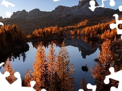 Modrzewie, Federa Lake, Dolomity, Prowinca Belluno, Pożółkłe, Jezioro, Góry, Włochy, Jesień, Drzewa