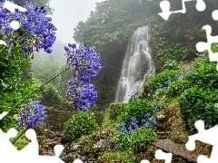 Dżungla, Mirador de Ribeira dos Caldeiroes, Achada, Niebieskie kwiaty, Wodospad, Mgła, Portugalia