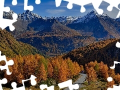 Droga, Drzewa, Szwajcaria, Przełęcz, Kanton Gryzonia, Góry, Jesień, Passo del Bernina