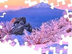 Góra, Wschód słońca, Stratowulkan Fudżi, Mount Fuji, Wyspa Honsiu, Japonia, Skały, Krzewy, Zima