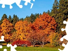 Ławka, Drzewa, Jesień, Park