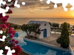Atrium Prestige Thalasso Spa, Hotel, Lachania, Drzewa, Kwiaty, Wyspa Rodos, Wakacje, Wschód słońca, Grecja, Morze, Budynek, Basen