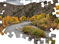 Gunnison River, Pożółkłe, Stany Zjednoczone, Drzewa, Kolorado, Rzeka, Jesień, Góry