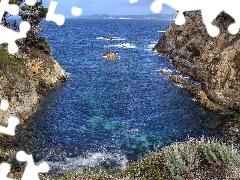 Zatoka, Drzewa, Stany Zjednoczone, Rezerwat Point Lobos, Kalifornia, Skały, Morze, Carmel by the Sea