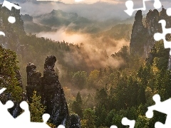 Mgła, Skały, Park Narodowy Saskiej Szwajcarii, Drzewa, Góry Połabskie, Dolina, Niemcy