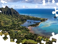 Kailua, Drzewa, Wyspa Oahu, Drzewa, Pola, Hawaje, Zatoka, Z lotu ptaka, Stany Zjednoczone, Morze, Góry, Wybrzeże