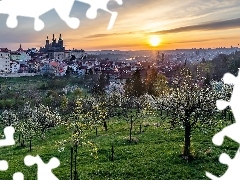 Wschód słońca, Wiosna, Praga, Drzewa, Czechy