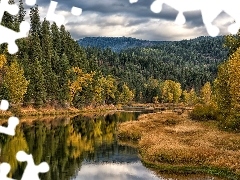 Rzeka, Jesień, Coeur dAlene River, Drzewa, Idaho, Stany Zjednoczone, Góry, Hrabstwo Kootenai, Las