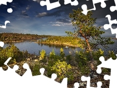 Ładoga, Karelia, Drzewa, Jezioro, Rosja, Skały, Krzewy