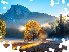 Park Narodowy Yosemite, Góra Half Dome, Mgła, Jesień, Drzewa, Kalifornia, Stany Zjednoczone, Góry