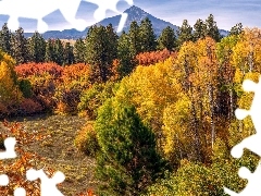 Góry, Jesień, Liście, Drzewa