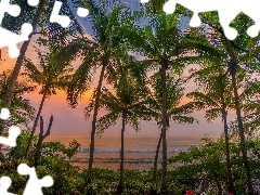 Zachód słońca, Palmy, Półwysep Osa, Wieczór, Morze, Park Narodowy Corcovado, Kostaryka