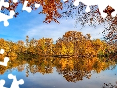 Jesień, Pożółkłe, Drzewa, Jezioro