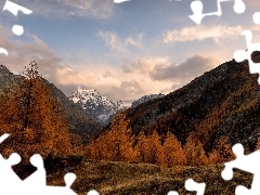 Drzewa, Góry, Chmury, Szwajcaria, Jesień, Alpy Pennińskie