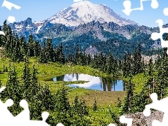 Waszyngton, Stany Zjednoczone, Park Narodowy Mount Rainier, Stratowulkan, Tipsoo Lake, Drzewa, Góry, Jezioro, Mount Rainier