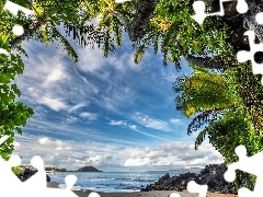 Hawaje, Stany Zjednoczone, Maui, Plaża, Niebo, Chmury, Roślinność, Skały, Palmy