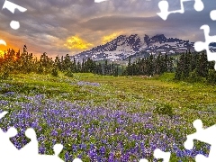 Waszyngton, Stany Zjednoczone, Park Narodowy Mount Rainier, 