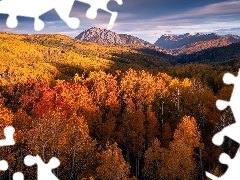 Las, Góry, Kolorado, Stany Zjednoczone, Drzewa, Jesień