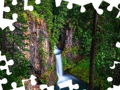 Wodospad, Oregon, Las, Skała, Stany Zjednoczone, Toketee Falls, Drzewa
