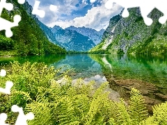 Alpy, Drzewa, Niemcy, Paprocie, Bawaria, Góry, Park Narodowy Berchtesgaden, Jezioro Obersee