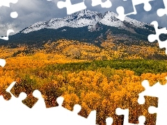Przełęcz, Kebler Pass, Jesień, Góry, Drzewa, Kolorado, S