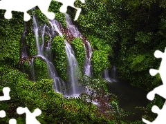 Las tropikalny, Bali, Banyu Wana Amertha Falls, Okręg Buleleng, Indonezja, Wodospad, Roślinność