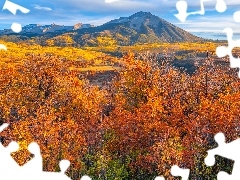 Góry, Kebler Pass, Drzewa, Rezerwat, Jesień, Kolorado, Sta