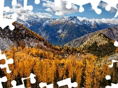 Entiat Mountains, Żółte, Stany Zjednoczone, Drzewa, Stan Waszyngton, Góry, Jesień, Modrzewie