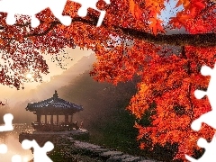 Gałęzie, Jesień, Altana, Klon, Promienie słońca, Japonia, Nara, Sagiike, Staw, Nara Park, Pawilon Ukimido