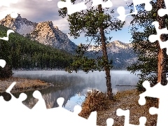 Jezioro, Stanley Lake, Stany Zjednoczone, Drzewa, Idaho, Sawtooth Range, Góry, Sosny